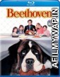 Beethoven (1992) Hindi Dubbed Movies