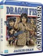 Jackie Chan s Dragon Fist (1979) Hindi Dubbed Movie